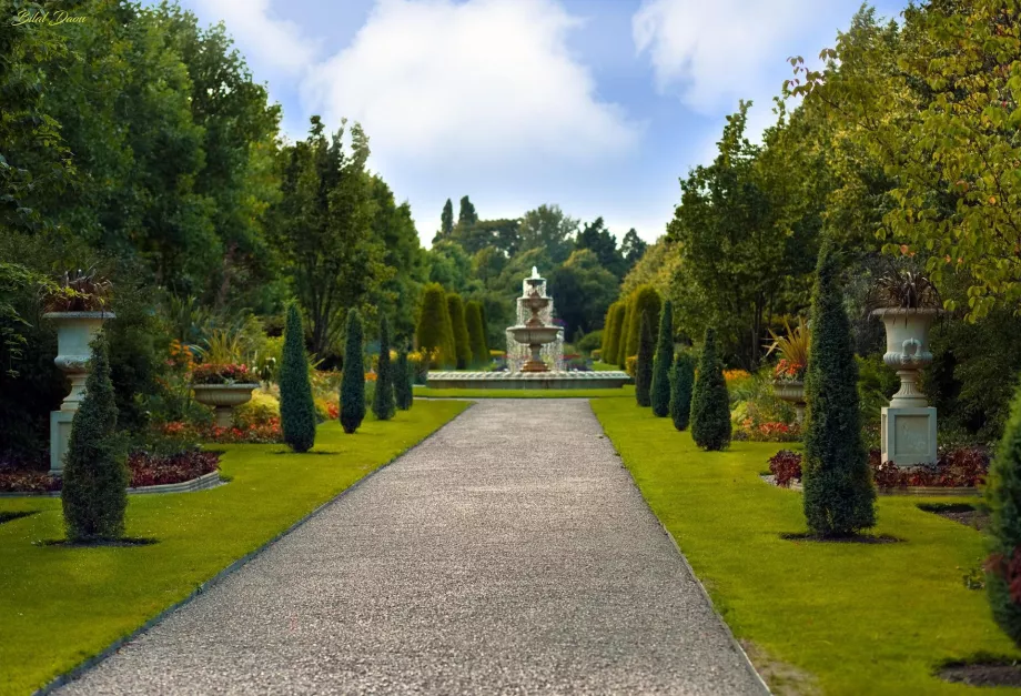 Giardino reale di Regent's Park