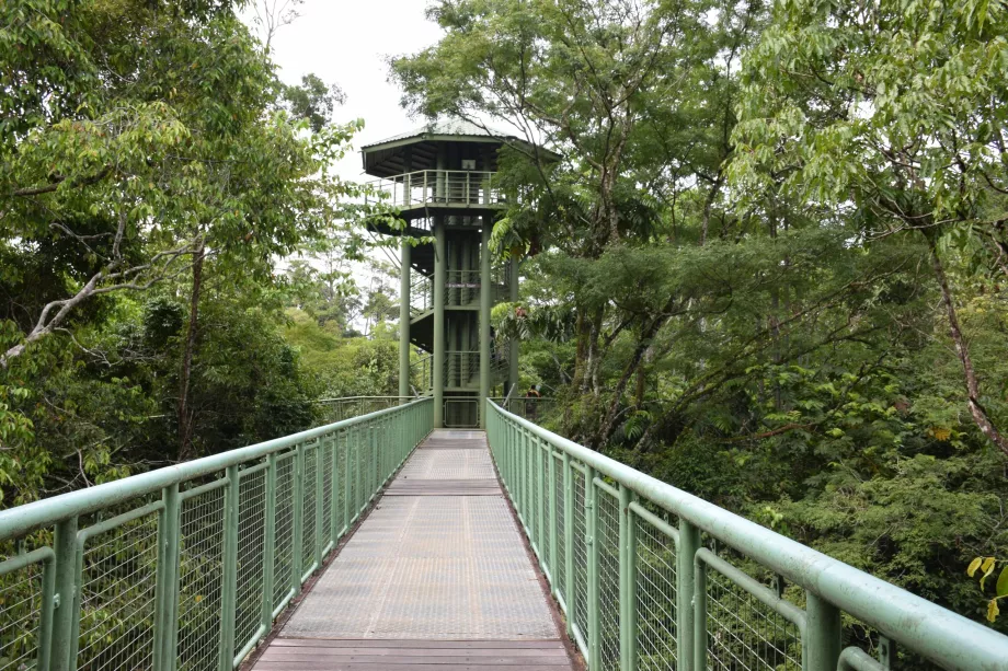 Centro di scoperta della foresta pluviale, Sepilok