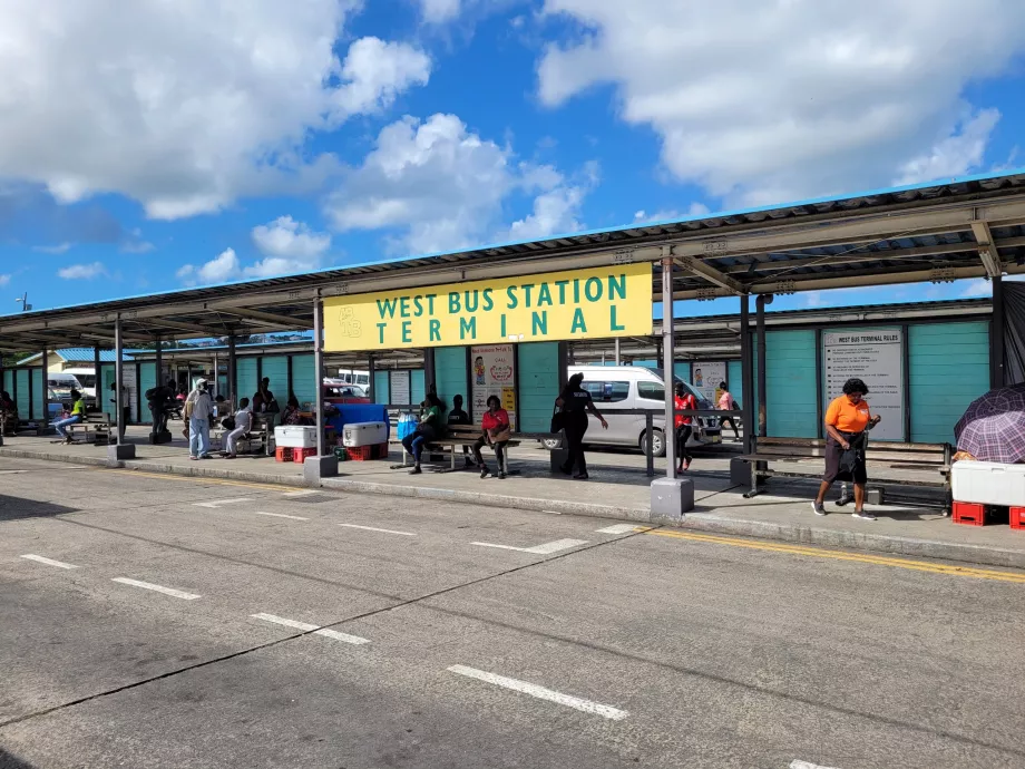 Stazione Ovest degli autobus, St. John's