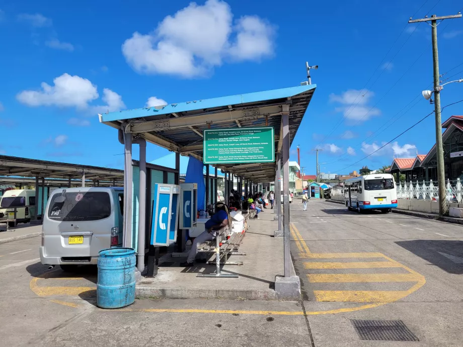 Stazione Ovest degli autobus, St. John's