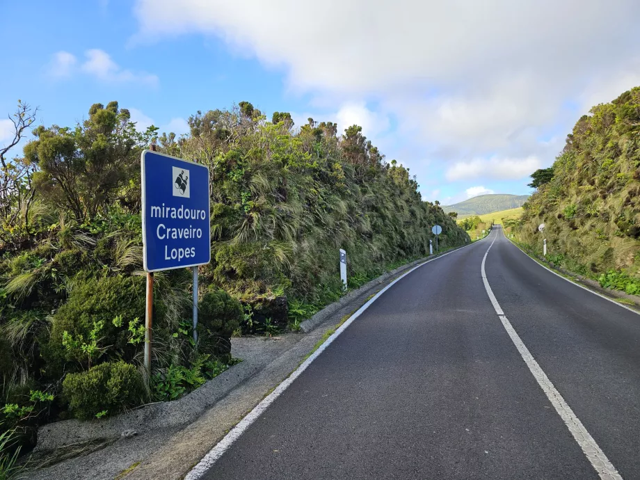 Il punto di osservazione è proprio vicino alla strada