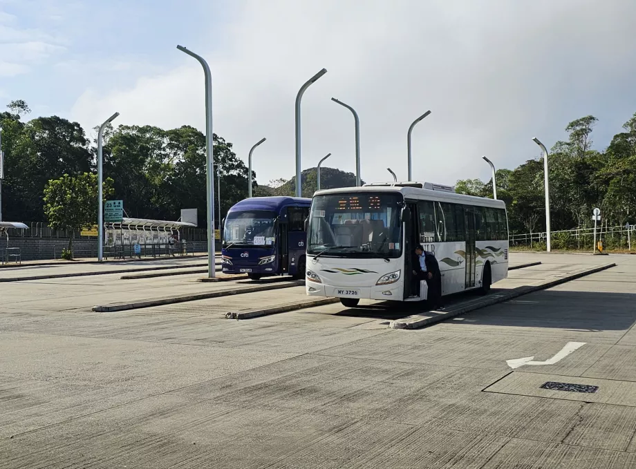 Autobus per Ngong Ping