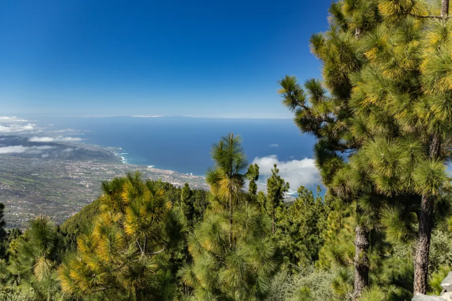 Valle della Orotava