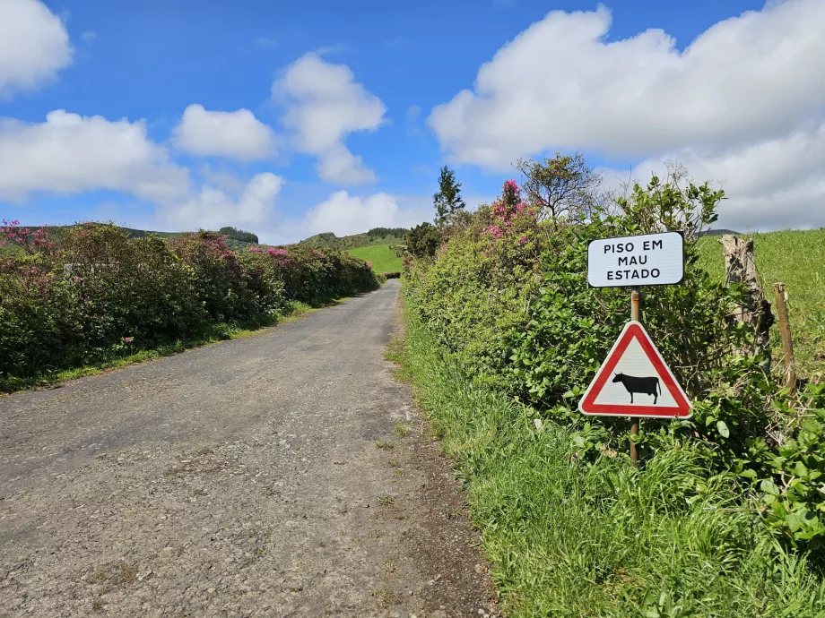 Cartelli lungo le strade dell'isola di Flores