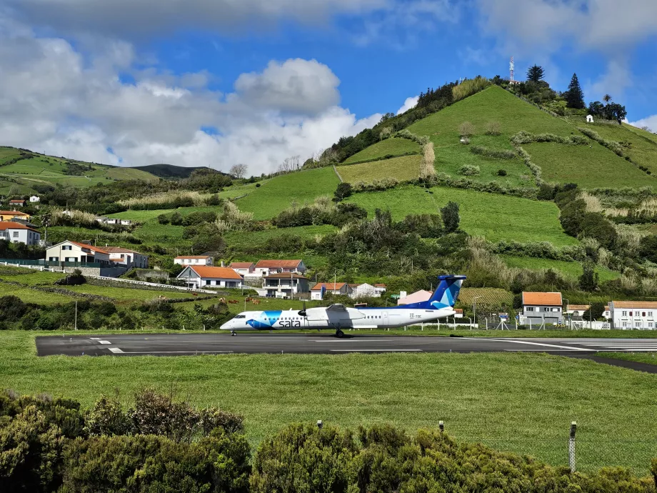 Avvistamento a Santa Cruz das Flores