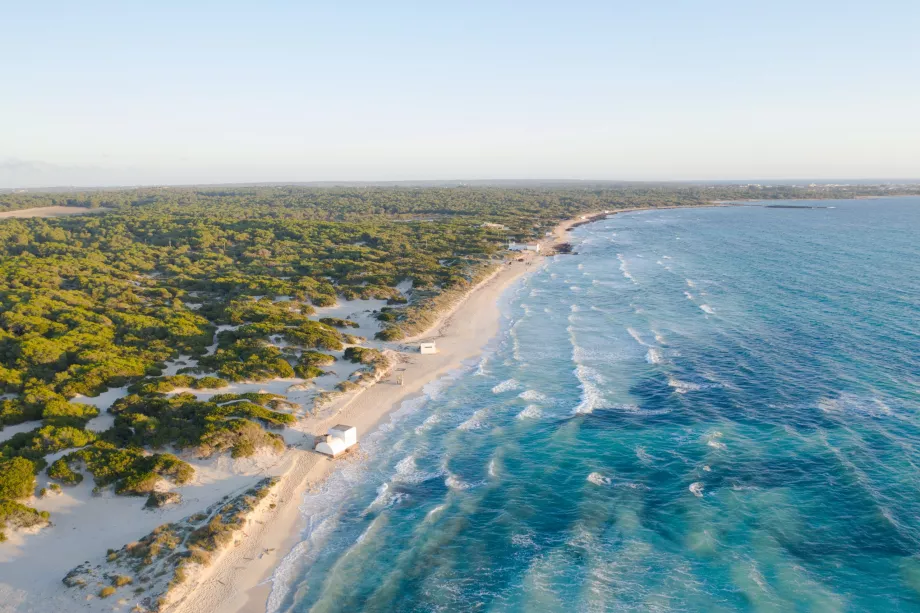 Spiaggia di Es Trenc