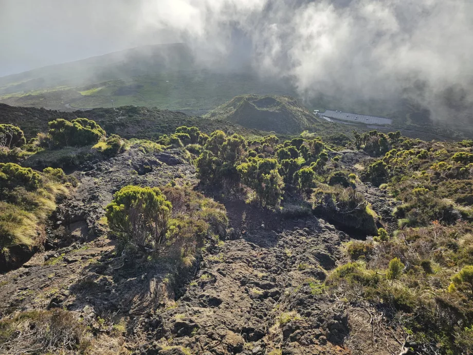 La strada verso il basso