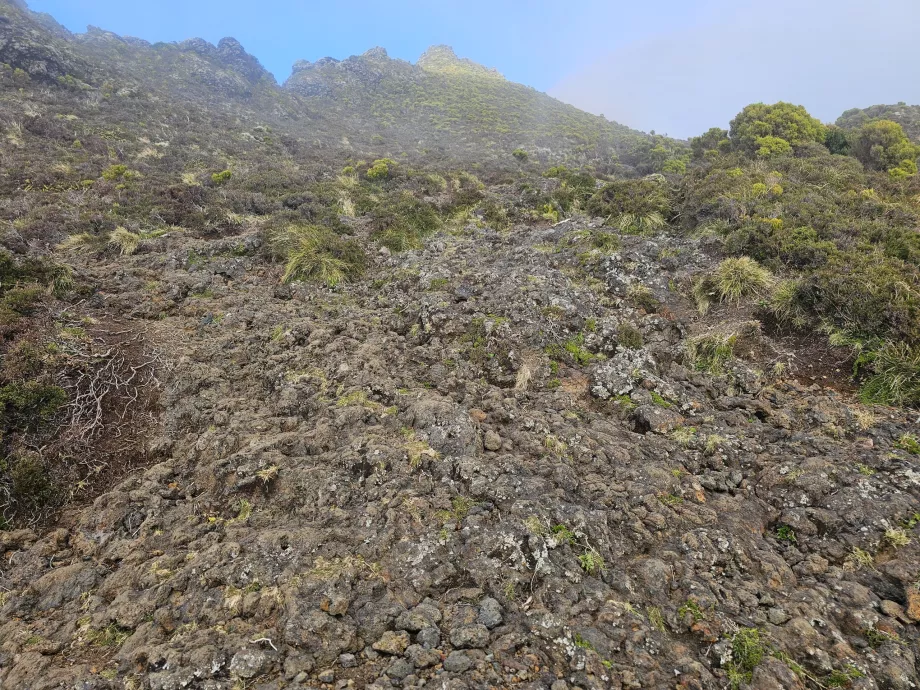 La strada verso l'alto