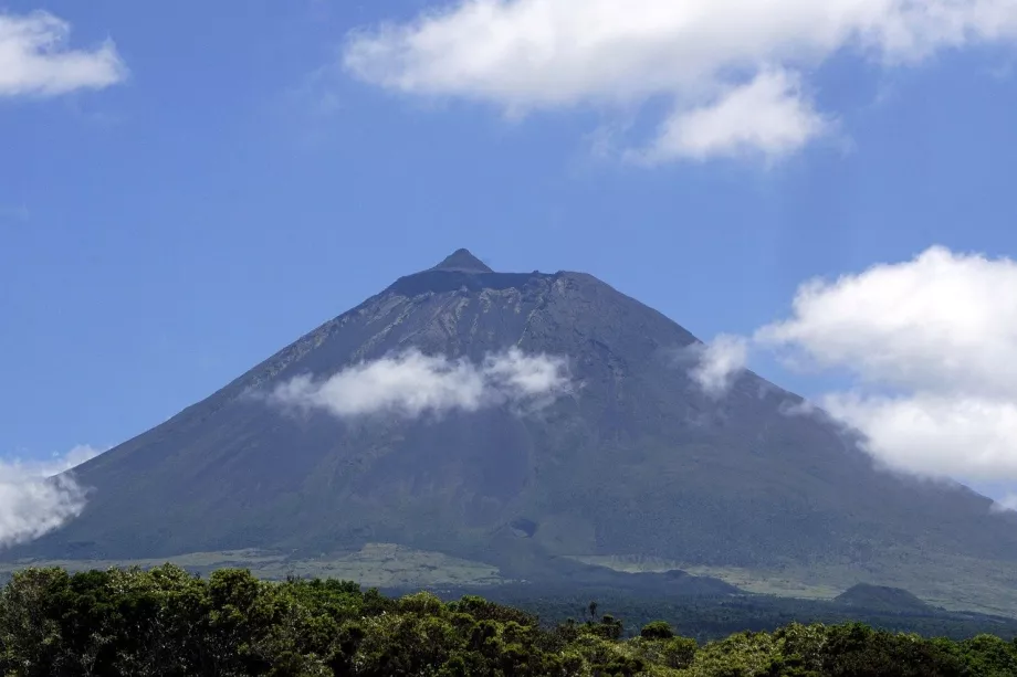 Pico con punta prominente Piquinho