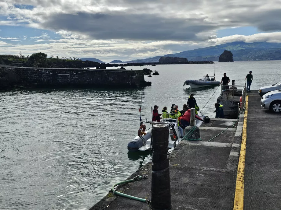 Escursioni per l'osservazione delle balene