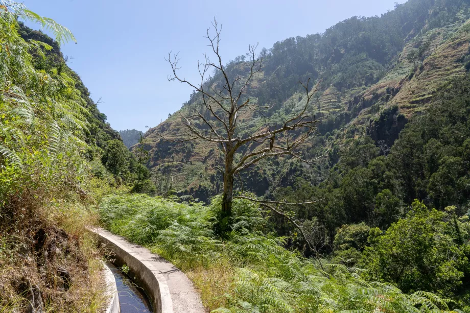 Levada Moinho