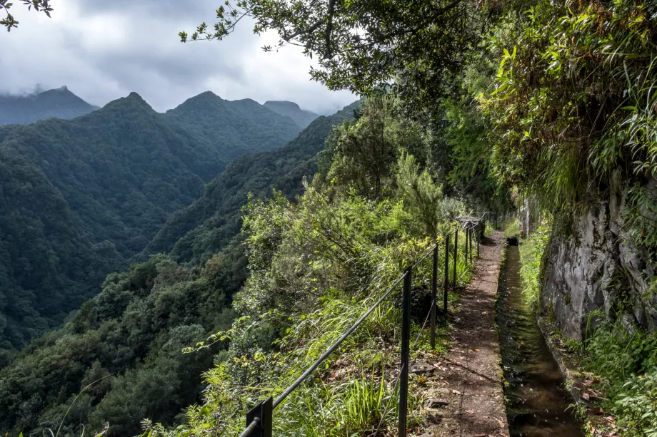 Levada a Rei