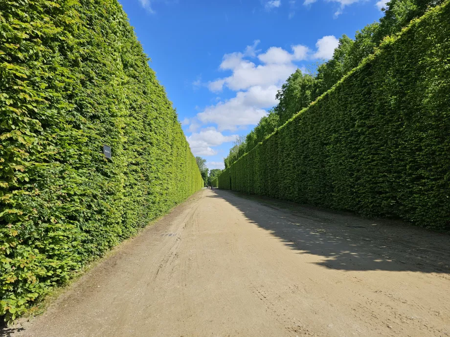 Giardini di Versailles