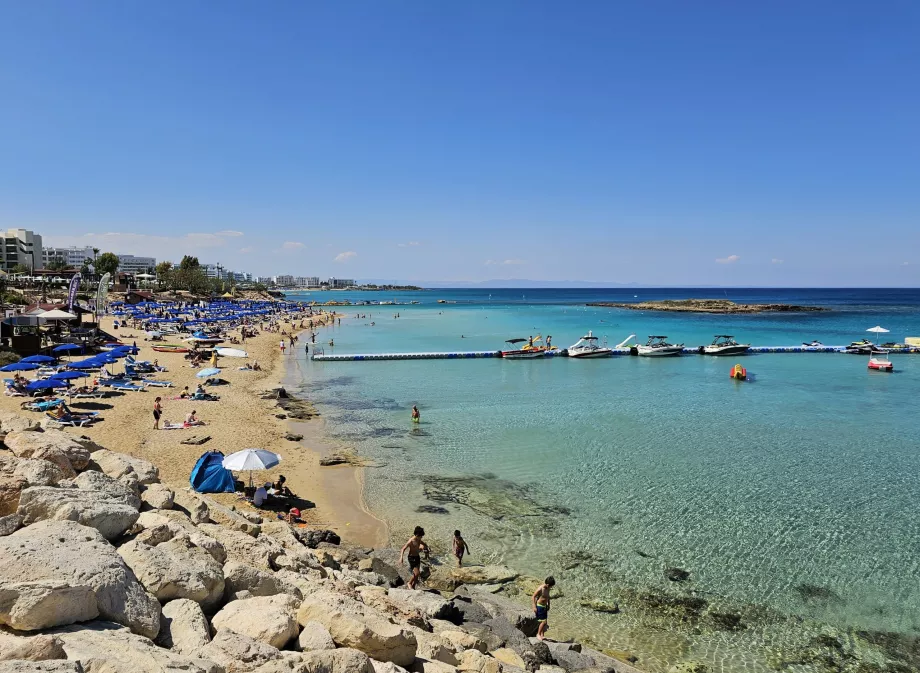 Baia dell'albero di fico