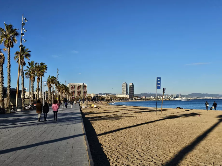 Spiaggia della Barceloneta