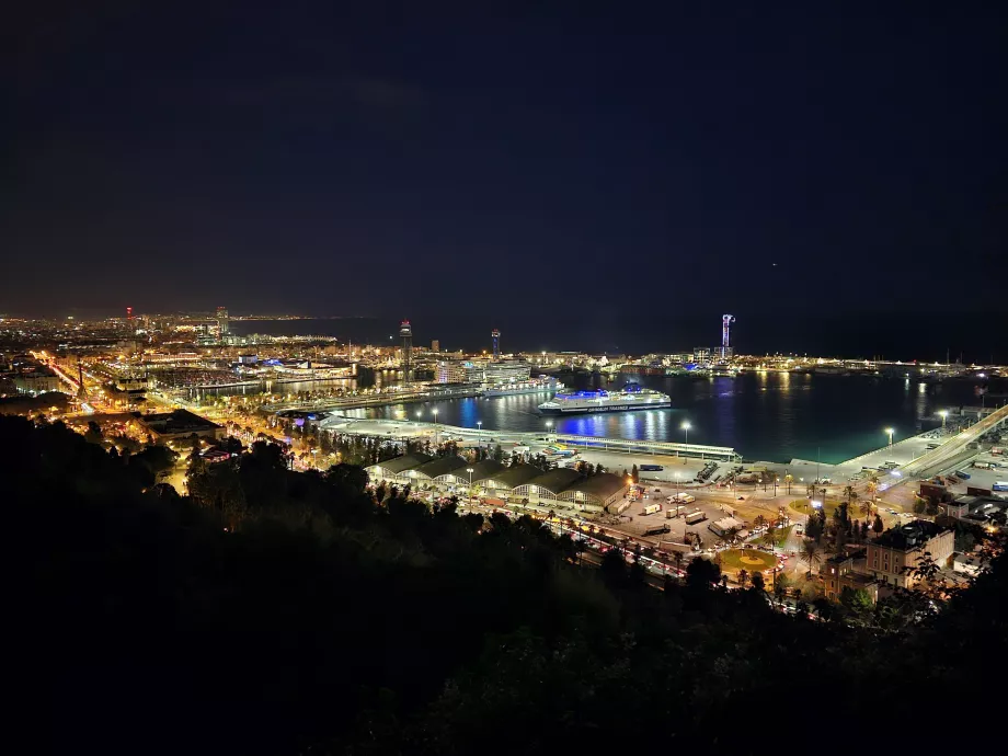 Vista notturna di Barcellona dal Parco del Montjuic