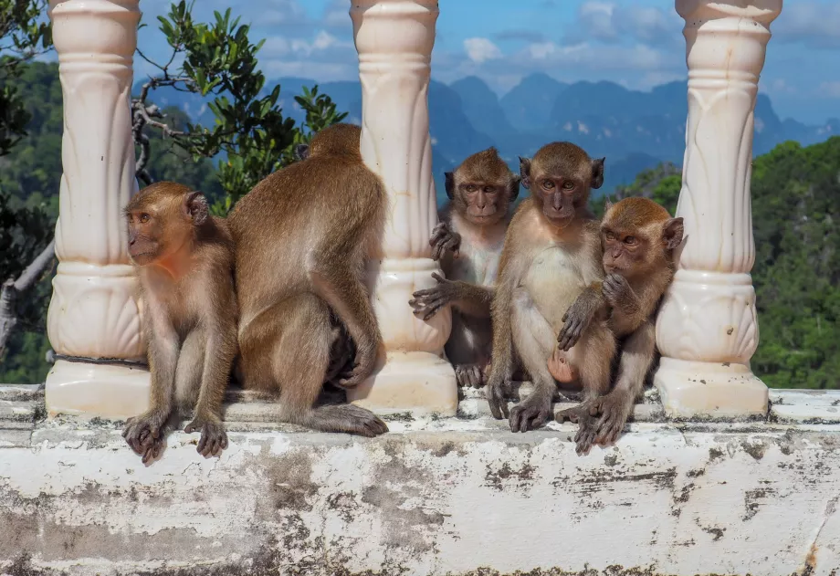 Tempio della Grotta della Tigre, Krabi, Thailandia