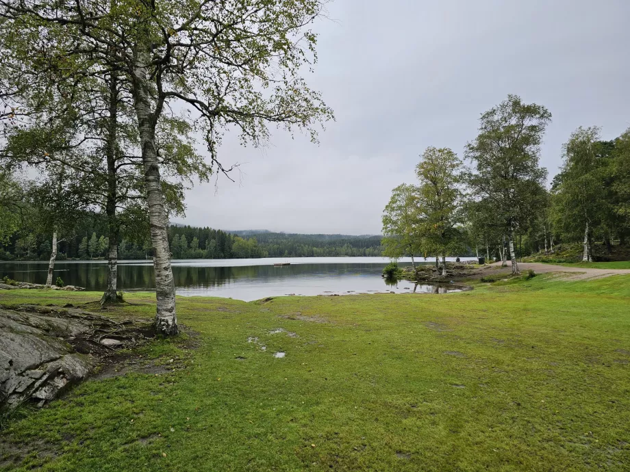 Sognsvann