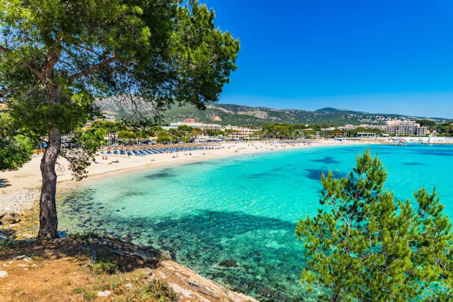 Spiaggia di Palmanova