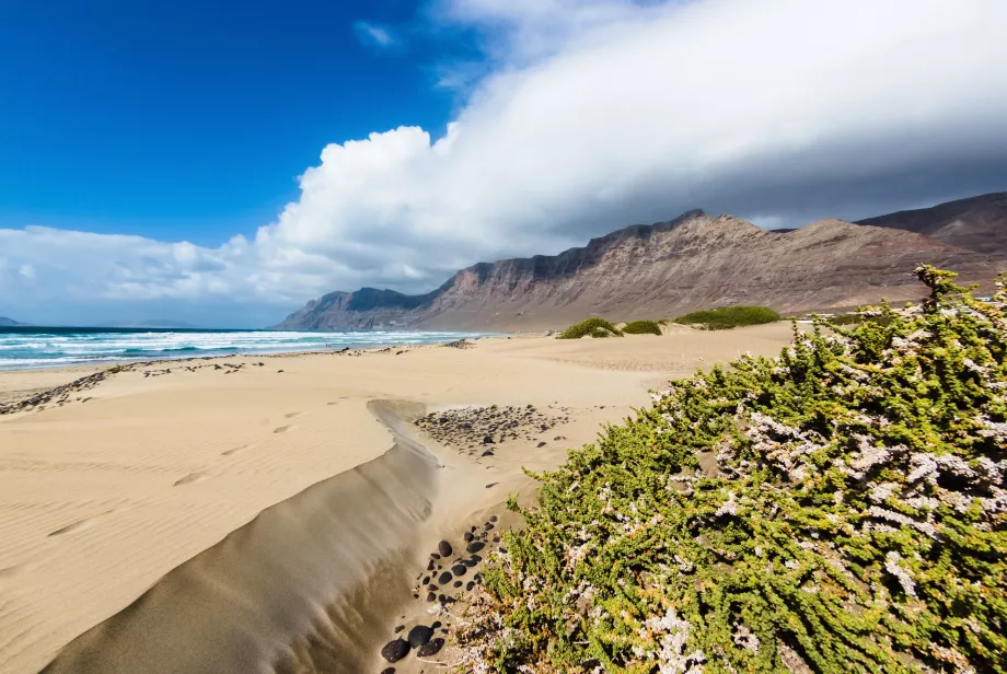 Spiaggia di Famara