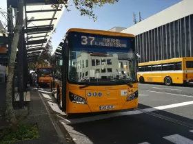 Autobus pubblici di Funchal (urbani)