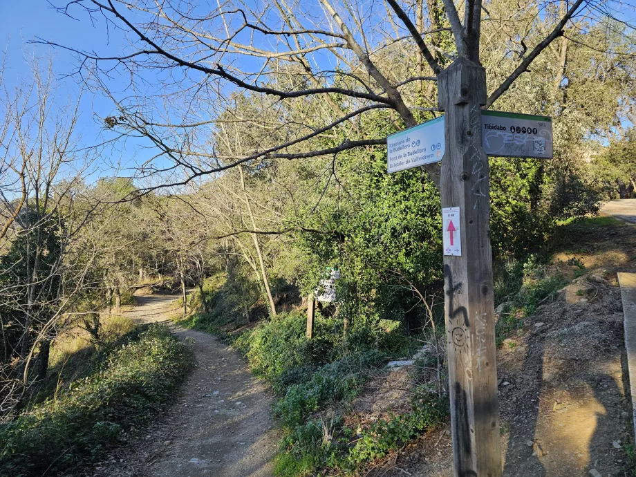 Turisitika in montagna Tibidabo