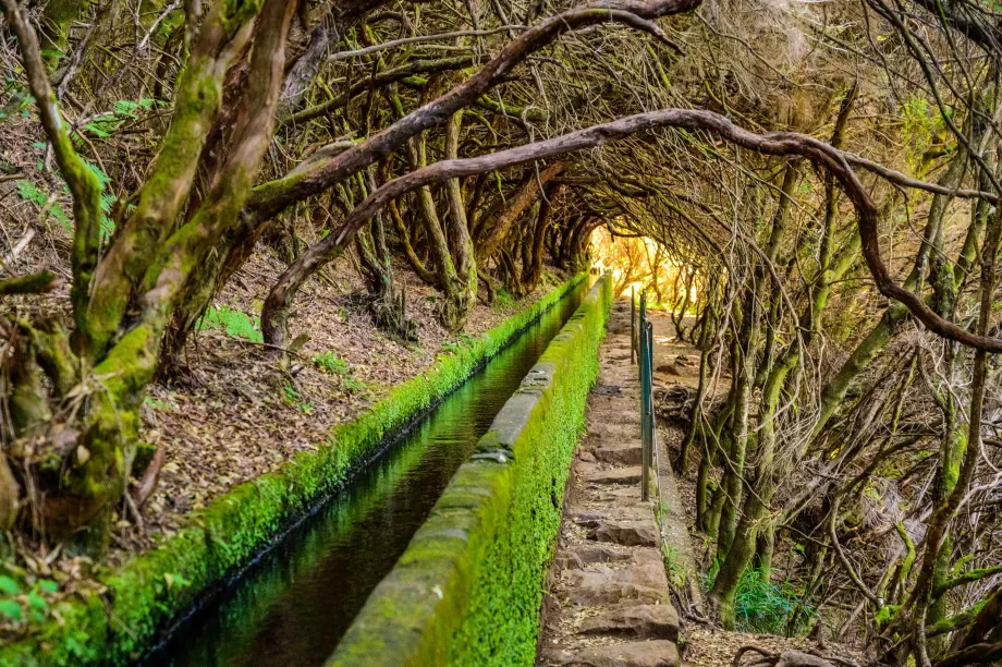 Levada 25 fontes