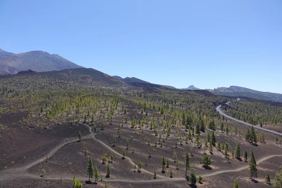 Paesaggio del Teide NP