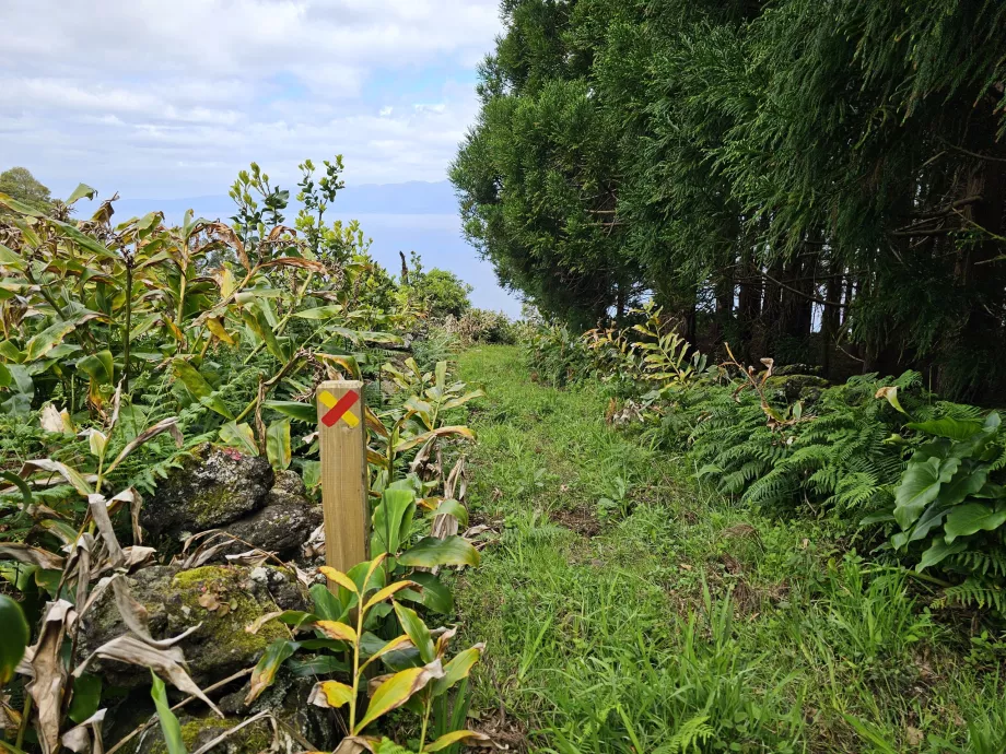 Cartello turistico che indica la strada sbagliata