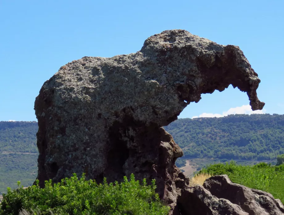 Roccia dell'elefante