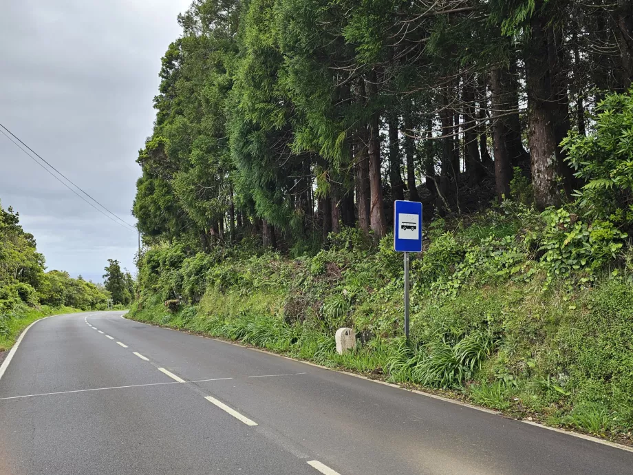 Fermata dell'autobus, Isola di Pico