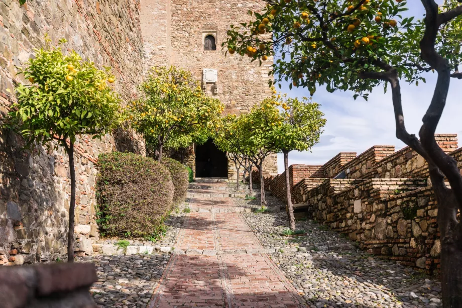 Alcazaba e aranci