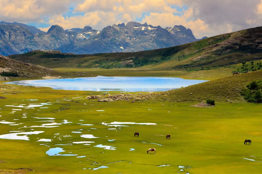 Lago di Nino