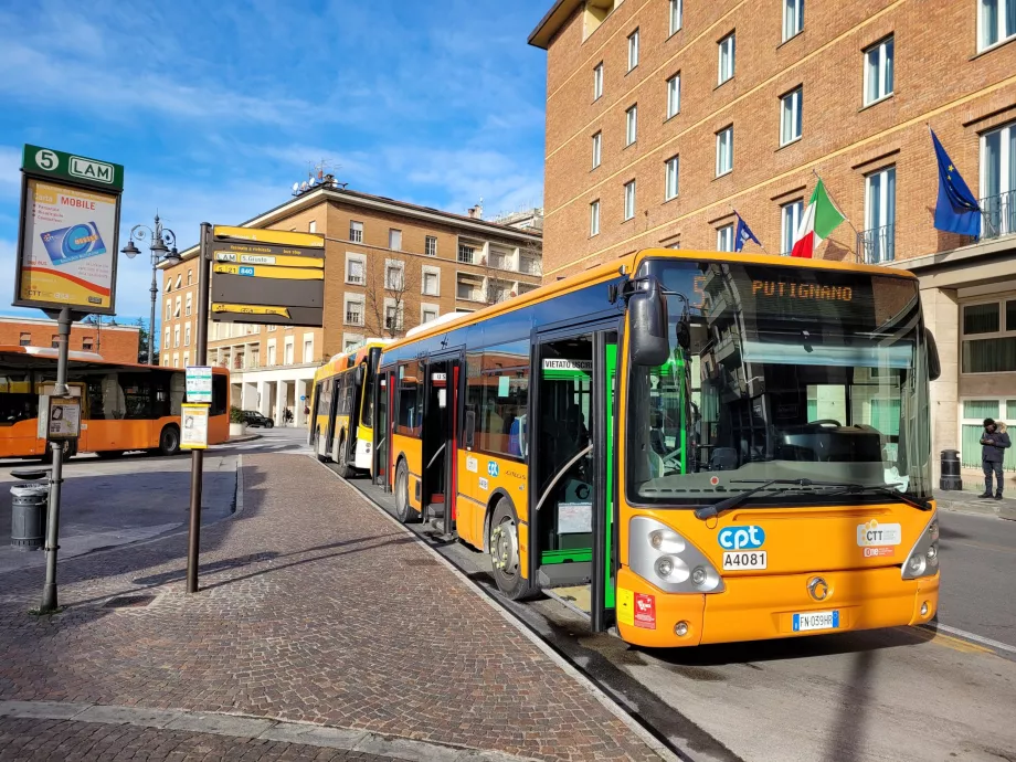 Autobus Pisa