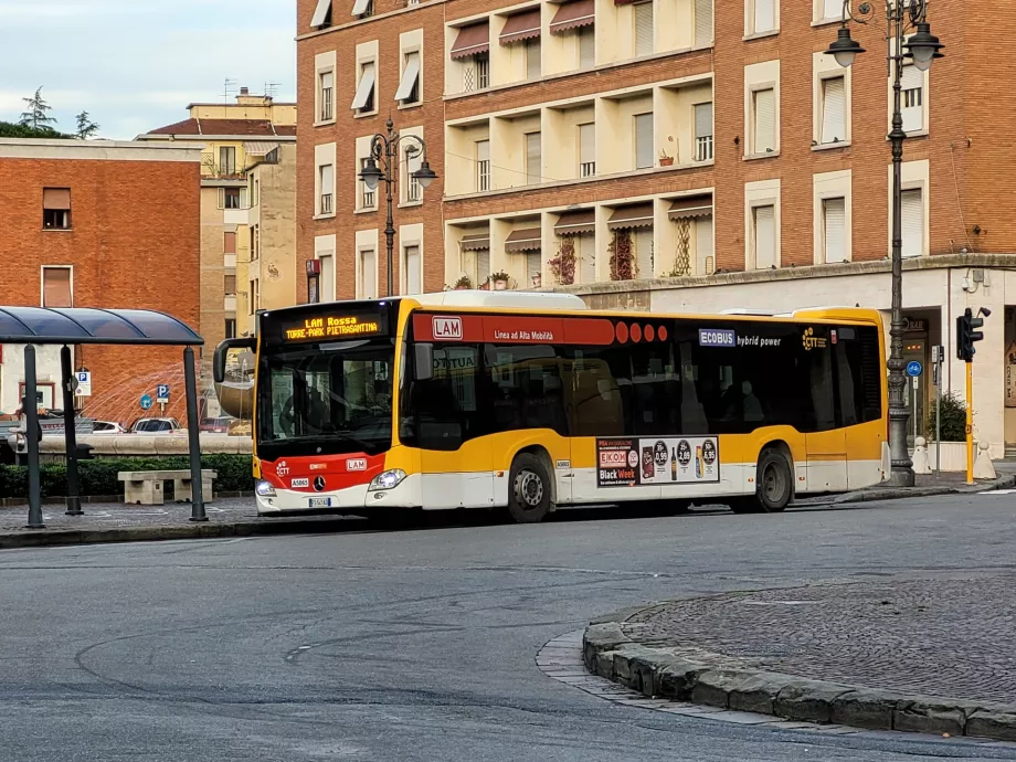 Linee di autobus LAM Rossa