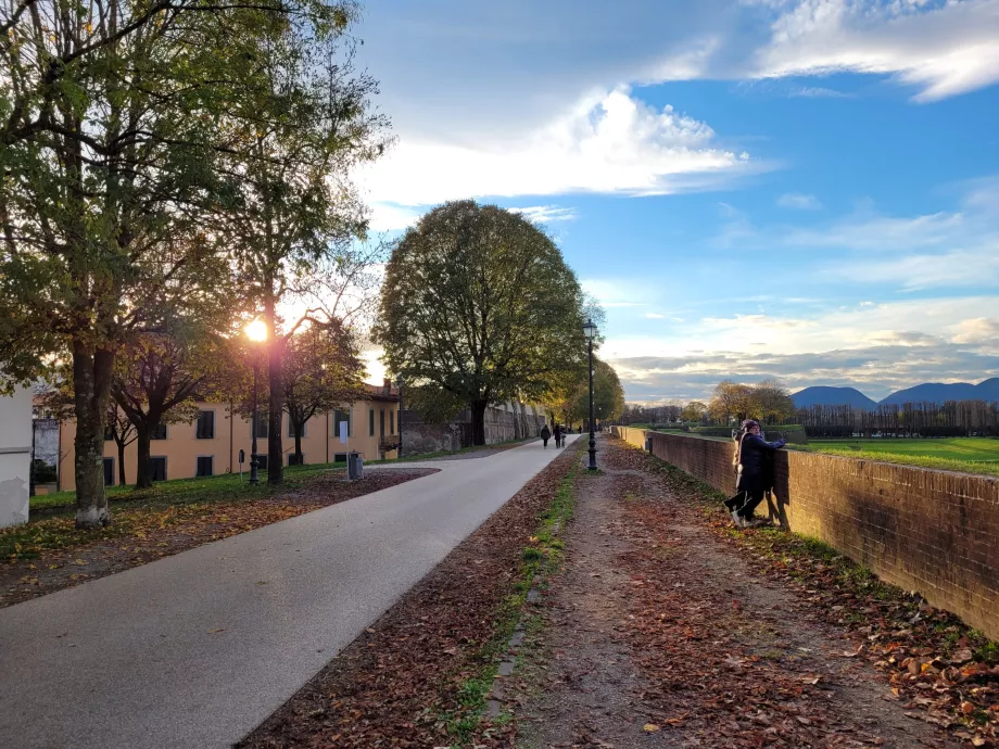 Castelli di Luccy