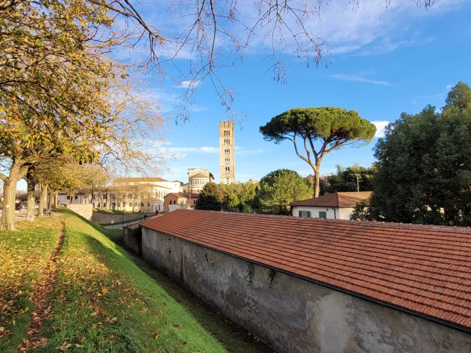 Vista della Chiesa di San Frediano dalle mura