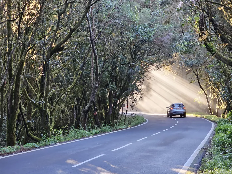 Strade alla luce del sole del mattino