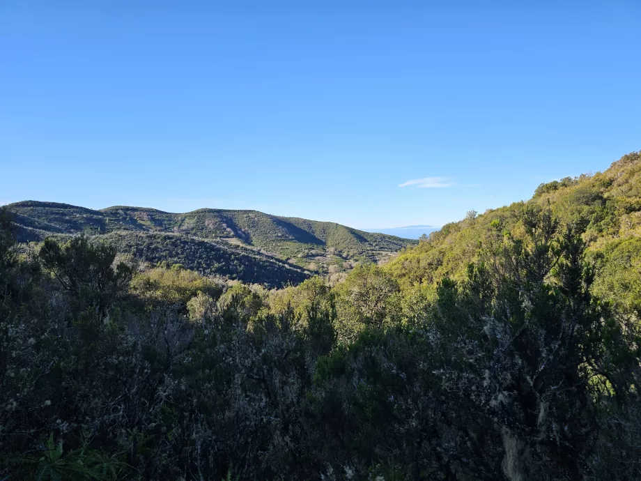 Paesaggio intorno a Laguna Grande