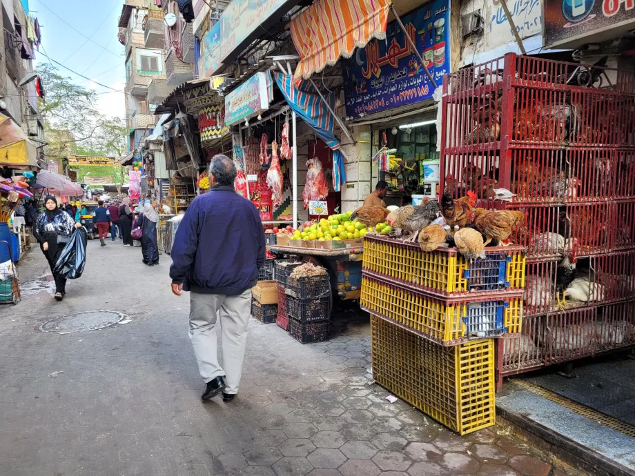 Il Cairo islamico