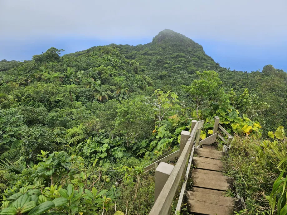 Sentiero del Monte Scenery