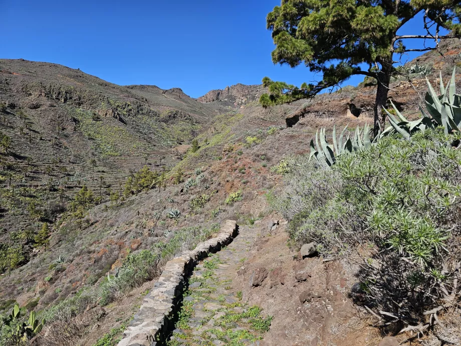 La strada per Drago de Alagán