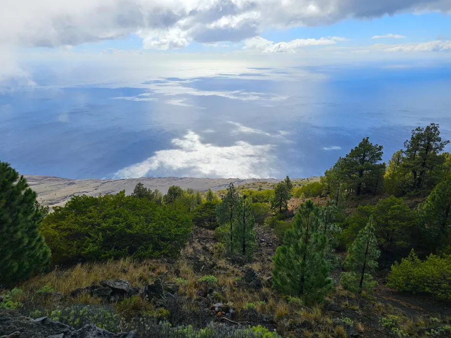 Punto di vista di El Julan