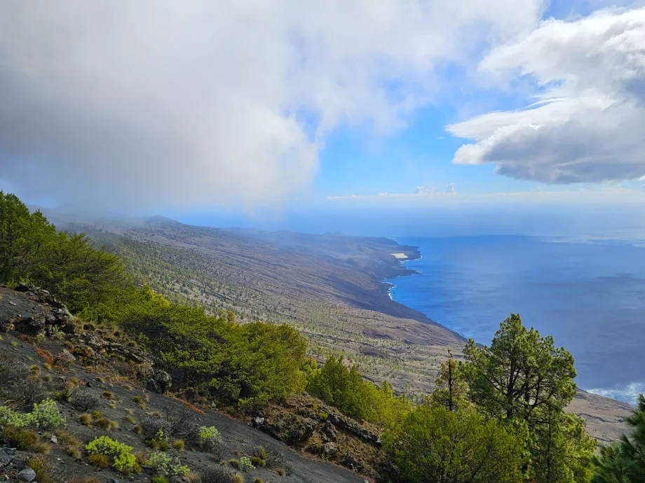 Punto di vista di El Julan