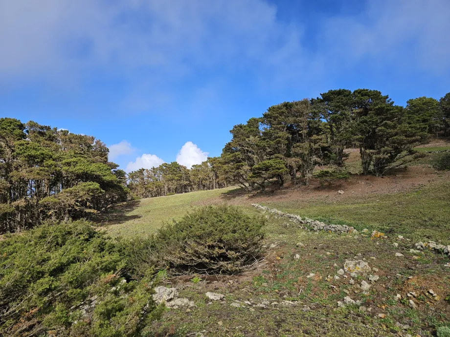 Ovest El Hierro