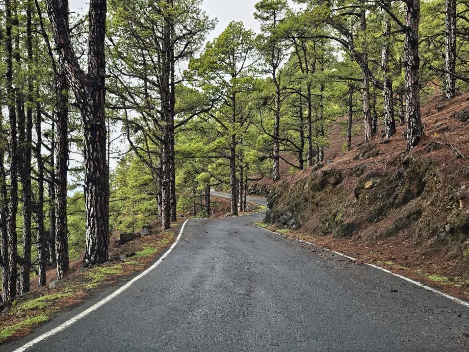 Strada di El Julan