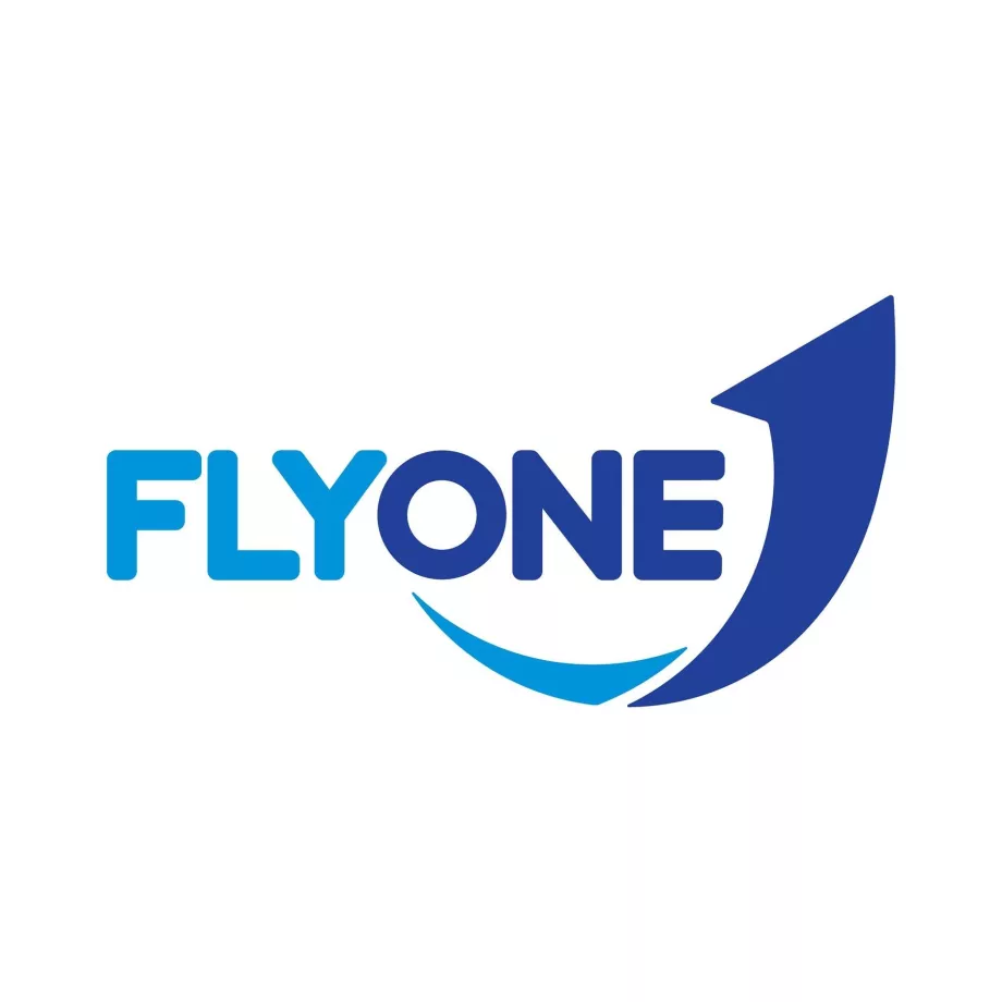 FlyOne