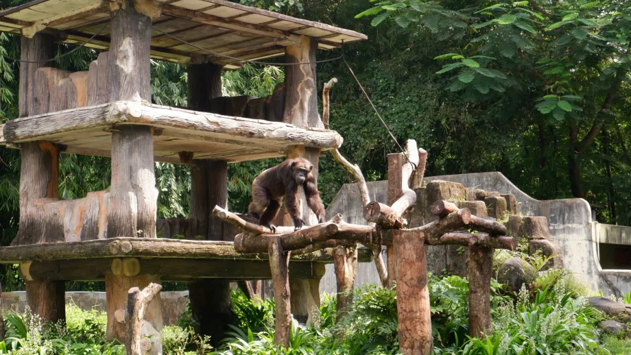 Zoo di Gembira Loka