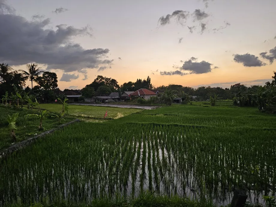 La strada per Ratu Boko