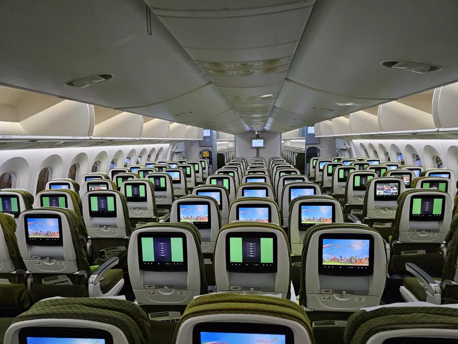 Classe economica, Boeing 787